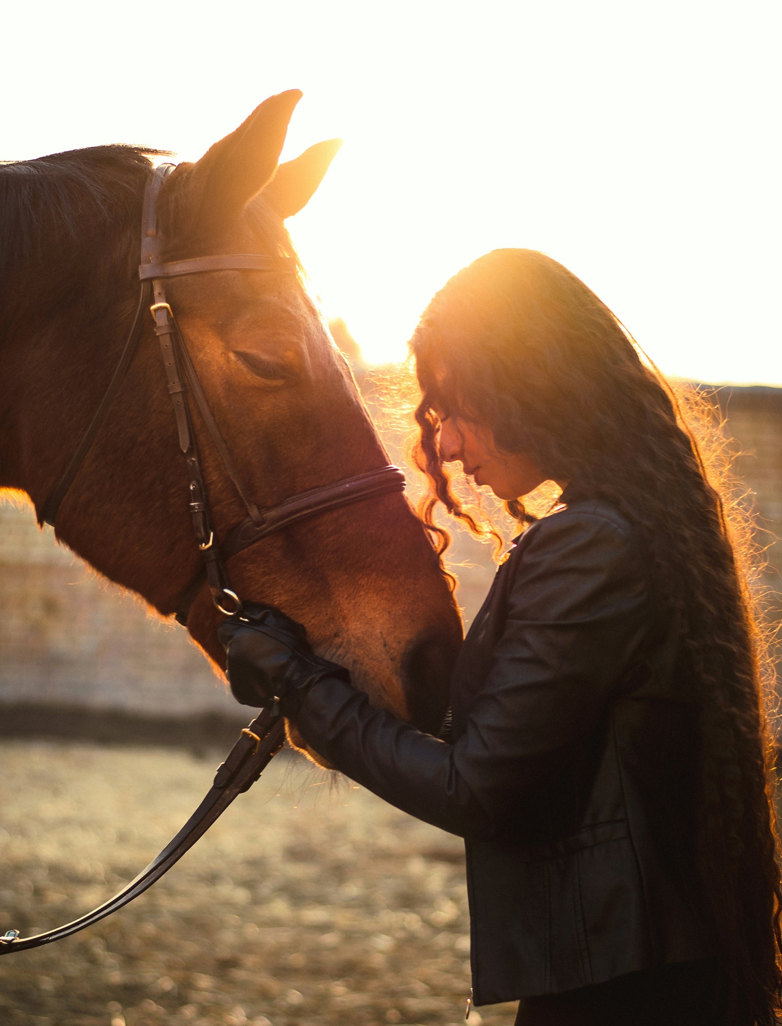 Eigenaar met haar paard in het tegenlicht