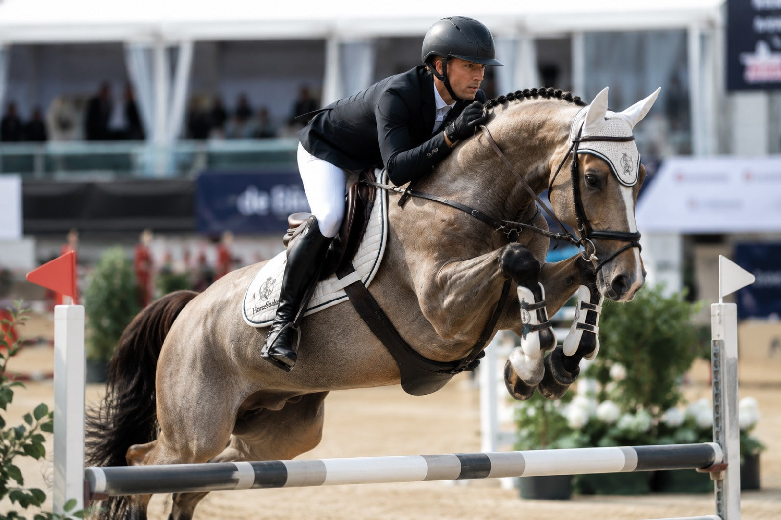 Sport horse and rider during intensive training
