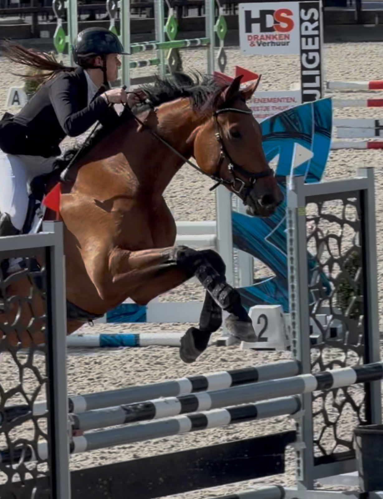 Show jumper over a fence at competition
