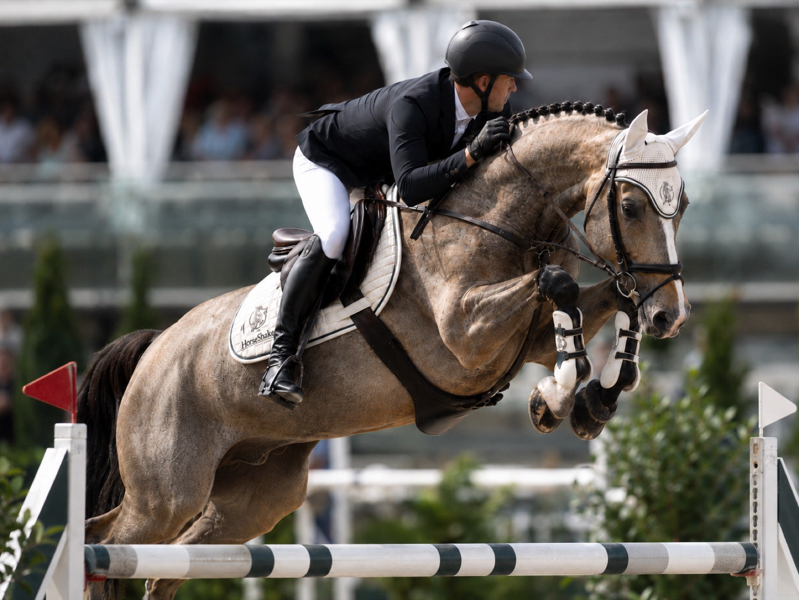 Paard en ruiter in actie